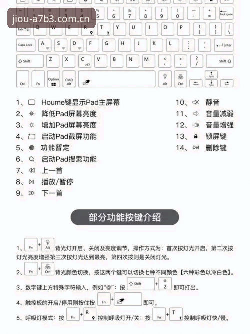 九博网页版安卓版使用实用指南：老用户分享高效体验技巧